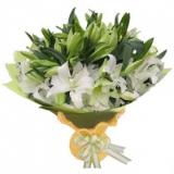 鲜花:多头白香水百合3枝，情人草间插，紫色手柔纸圆形包装