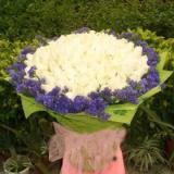 祝贺送花鲜花:99朵白玫瑰，紫色勿忘我围绕，绿色皱纹纸粉色纱带精致束扎。