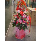 花篮:99朵红玫瑰、绿叶或小草花间插，内层透明纸+外围卷边纸，多层丝带。