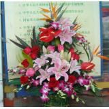 鲜花:22枝白玫瑰外围丰满黄莺。蓝色手柔纸包装，圆形花束，紫色丝带束扎