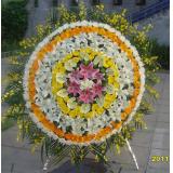 鲜花:白玫瑰11枝，洋桔梗搭配，纱网加手揉纸包装（此花预定前请先咨询，并限送各大城市）