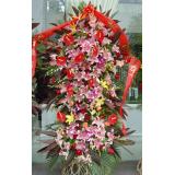 花篮:三层豪华开业大花篮，大量百合花，泰国兰，玫瑰，红掌，剑兰，吉祥鸟等，高度2米以上