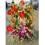 花篮:12枝紫玫瑰，精美包装（需提前预定，并限送各大城市）