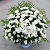 菊花:白菊花66枝加3枝多头香水百合，扇尾叶。加白色花盆一个