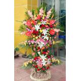 花篮:蓝色妖姬99枝，幸福草外围，纱网及卷边纸高档包装（此花需提前预定，并限送各大城市）