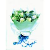 鲜花:99支红色康乃馨_满天星_红色包装