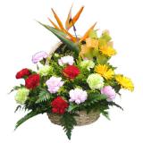 鲜花:玫瑰礼盒装 9朵红玫瑰9颗巧克力+2只公仔外围满天星绿叶