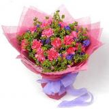 昌平真顺富山别墅鲜花店鲜花:淡粉色康乃馨22枝、紫色勿忘我，绵纸圆形包装