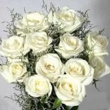 鲜花:蓝色妖姬99枝，幸福草外围，纱网及卷边纸高档包装（此花需提前预定，并限送各大城市）