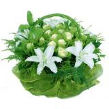 鲜花:红玫瑰22枝，小熊一对，绿叶，桃心花盒放（需提前预定，并限送各大城市）