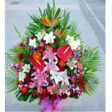 鲜花:66支红玫瑰+满天星+红色包装