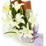 鲜花:粉多头香水百合6枝，单枝包装、草绿色棉纸圆形包装