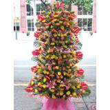 开业花篮:蓝色妖姬99枝，幸福草外围，纱网及卷边纸高档包装（此花需提前预定，并限送各大城市）