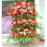 花篮:玫瑰礼盒装 9朵红玫瑰9颗巧克力+2只公仔外围满天星绿叶