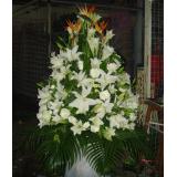 鲜花:多头白香水百合3枝，情人草间插，紫色手柔纸圆形包装