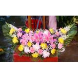 菊花:1枝多头香水百合，11枝粉玫瑰，绿叶间插；手柔纸扇形花束