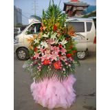 花篮:99支红色康乃馨_满天星_红色包装