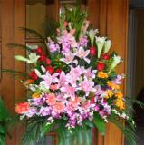 普陀路鲜花鲜花:4枝多头粉百合，2枝多头铁炮百合（或白香水百合）紫罗兰或金鱼草间插，红玫瑰9枝，泰国兰间插，剑兰等高档花材组合单面花插一个，高约60CM