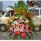 鲜花:19支红玫瑰紫色圆形包装