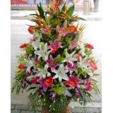 花篮:红色玫瑰11枝,黄莺配叶,淡紫色卷边纸圆形包装