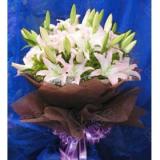 鲜花:11只粉玫瑰、2枝多头白百合，绿叶，满天星，手揉纸圆形包装