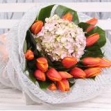 石城路街道鲜花店郁金香:16朵郁金香带绣球
