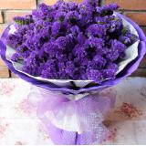 勿忘我:10支粉色百合红色包装