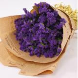 勿忘我:12枝粉玫瑰+紫色勿忘我+绿叶+绿色皱纹纸圆形包装+粉色丝带