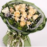 香槟玫瑰:满天星绿色叠角包装