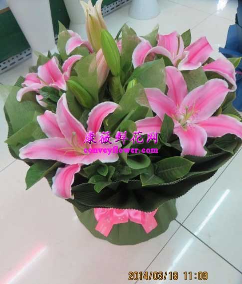 百合花-康薇鲜花网